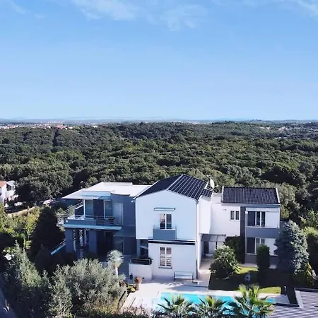Nicol *